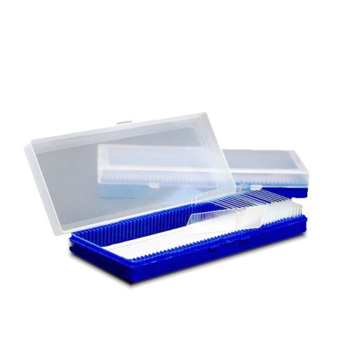 pudelko-na-50-sztuk-szkielek-pod-1-620